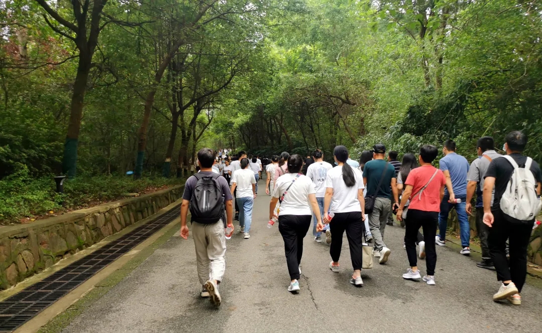 【動態(tài)】認(rèn)真工作，快樂生活——智恒信科技六周年登山活動圓滿落幕